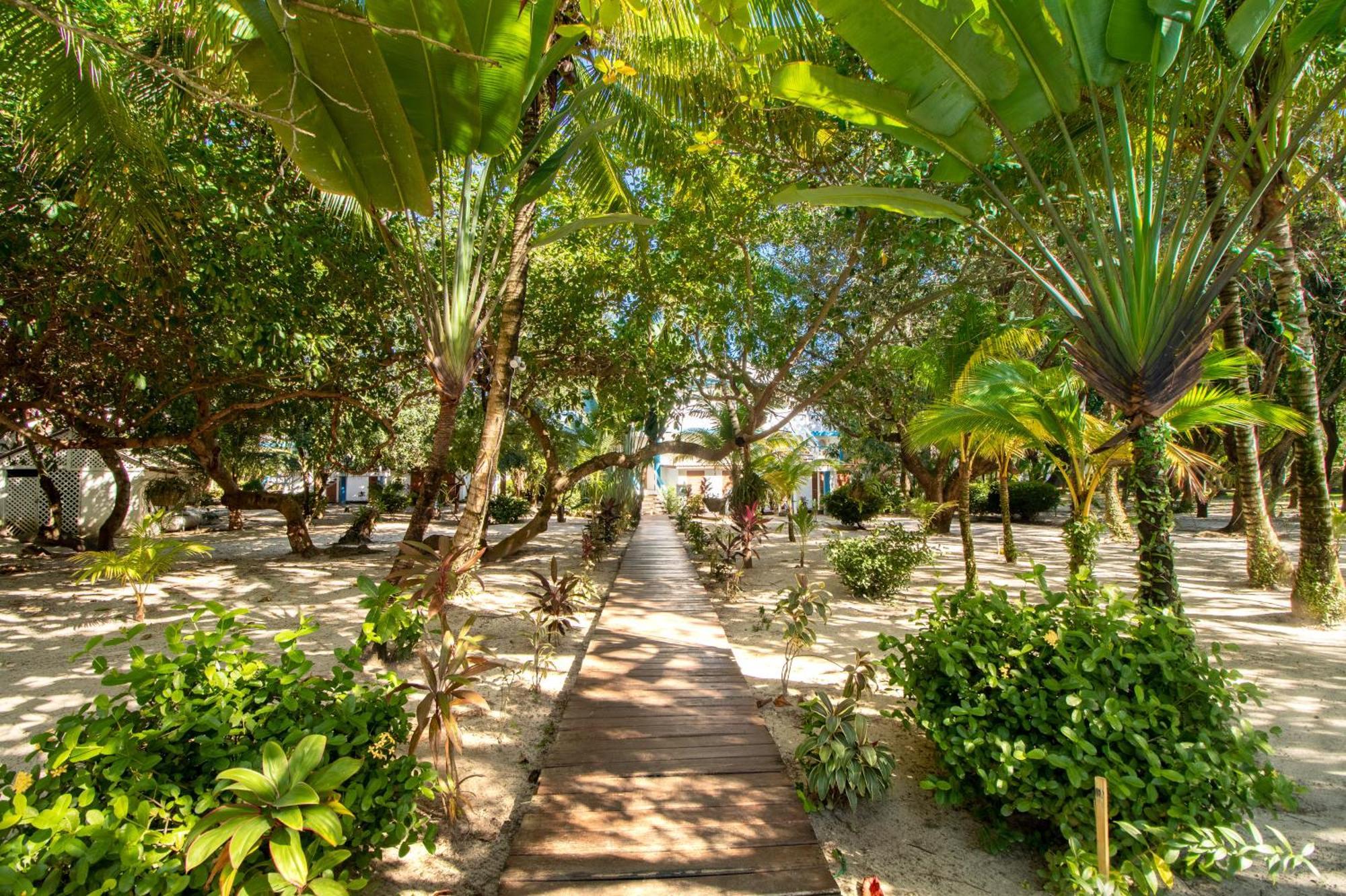 Beachside Villas Gold Standard Certified Placencia Номер фото